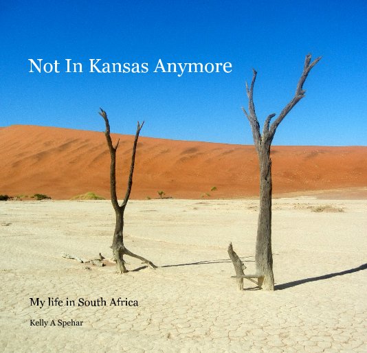 View Not In Kansas Anymore by Kelly A Spehar
