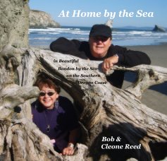 At Home by the Sea book cover