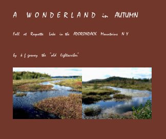 A   W O N D E R L A N D  in  AUTUMN book cover