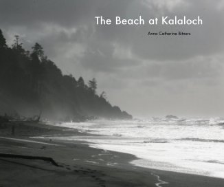 The Beach at Kalaloch book cover