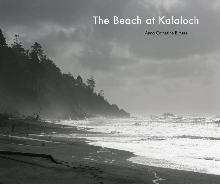 Ver The Beach at Kalaloch por : Photography by Anna Catherine Bitners