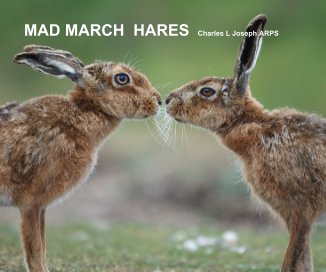 MAD MARCH HARES Charles L Joseph ARPS book cover