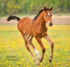 Alma second edition book cover