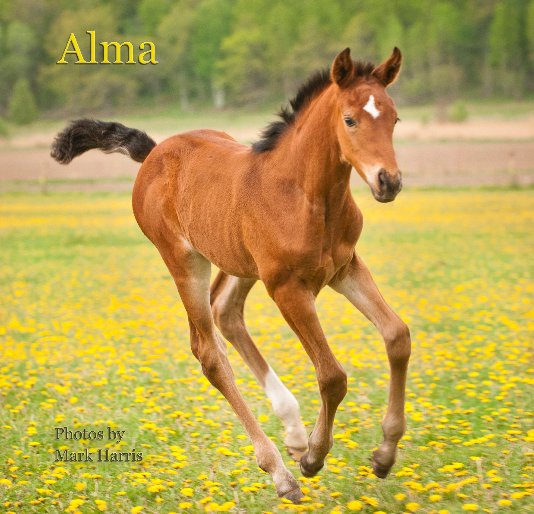 View Alma second edition by markh