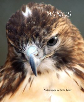 WINGS book cover
