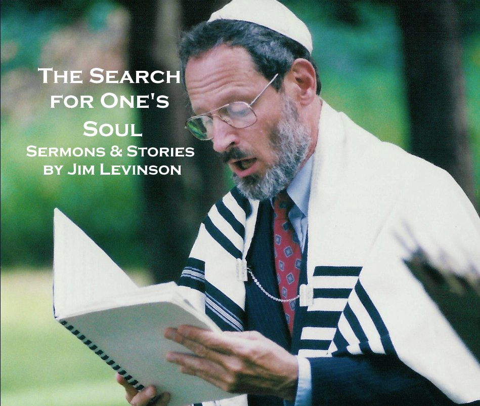 The Search for One's Soul Sermons & Stories by Jim Levinson nach Alexis Brooke Felder anzeigen