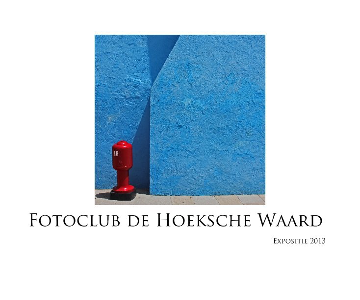 Visualizza Fotoclub de Hoeksche Waard di Fotoclub de Hoeksche Waard