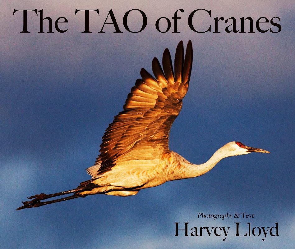 View The TAO of Cranes by Harvey Lloyd