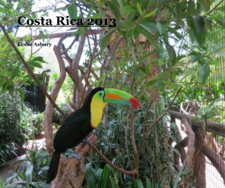 Costa Rica 2013 book cover