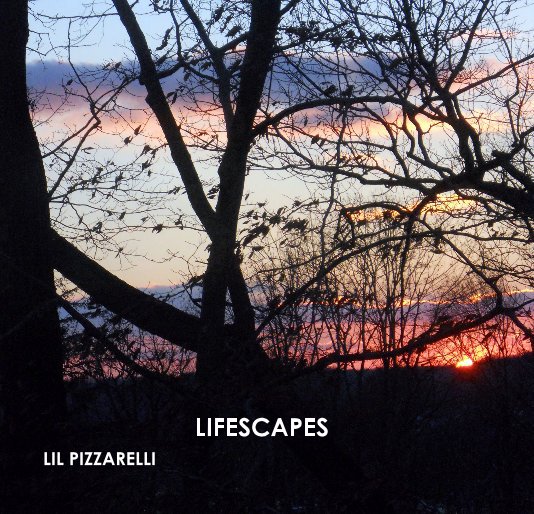 View LIFESCAPES by LIL PIZZARELLI