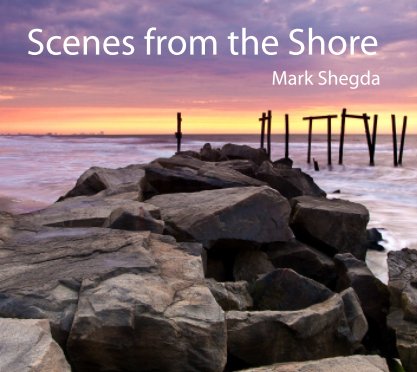 Scenes from the Shore (Large Landscape) book cover
