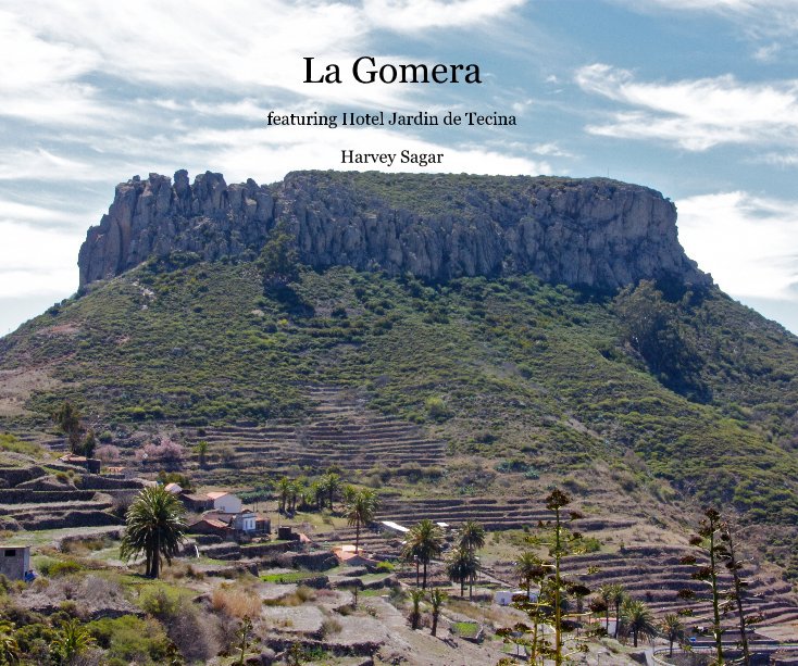 View La Gomera by Harvey Sagar