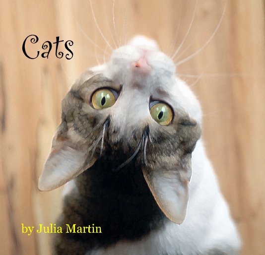 View Cats by Julia Martin