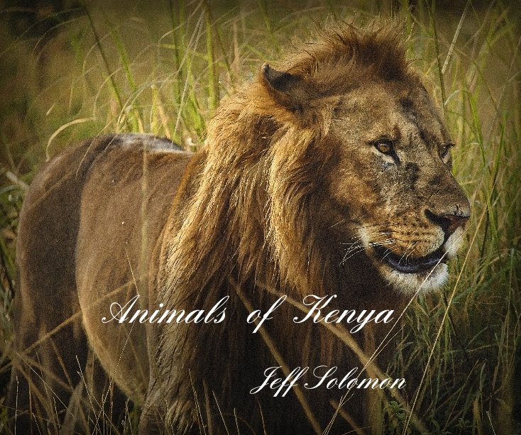 Ver Animals of Kenya por Jeff Solomon