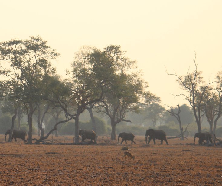View Zambia Safari 2012 by Zoe Holliday and Tom Mason