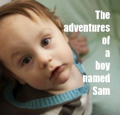 The adventures of a boy named Sam book cover
