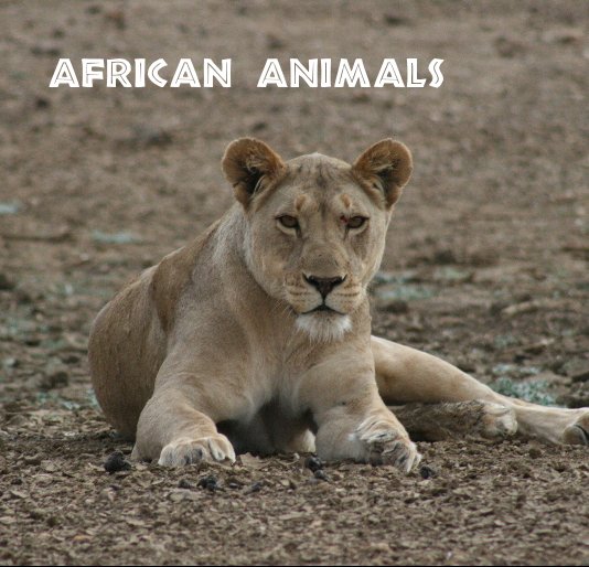 View African Animals by Jennifer & Grant Deardorff