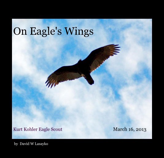 View On Eagle's Wings by David W Lasayko