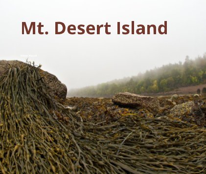 Mt. Desert Island book cover