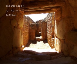 The Way I See It book cover