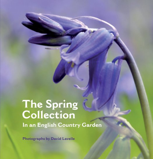 View The Spring Collection (Hardback) by David Lavelle