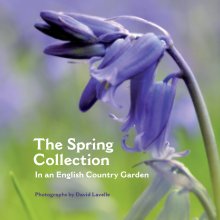 The Spring Collection (Paperback) book cover