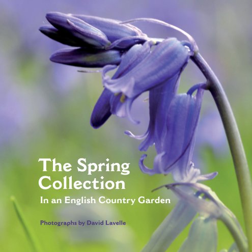 View The Spring Collection (Paperback) by David Lavelle