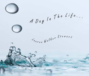 A Day In The Life book cover