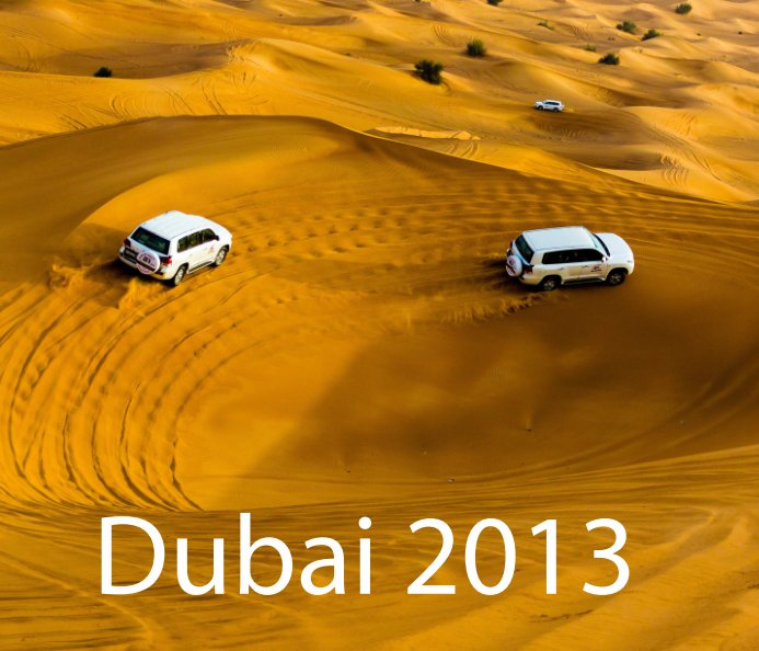 View Dubai 2013 by Stas Versilov