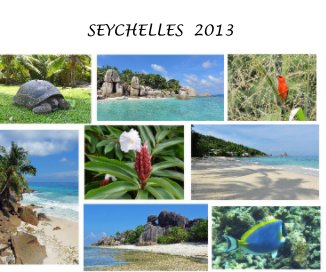 SEYCHELLES 2013 book cover