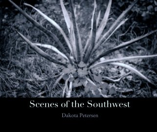 Scenes of the Southwest book cover