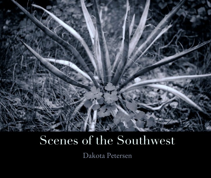 Visualizza Scenes of the Southwest di Dakota Petersen