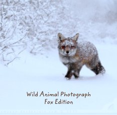 Fox Photograph book cover
