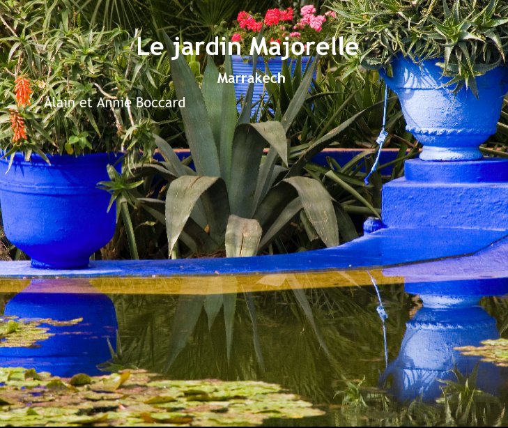 View Le jardin Majorelle by Alain Boccard