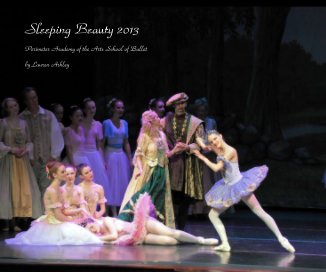 Sleeping Beauty 2013 book cover