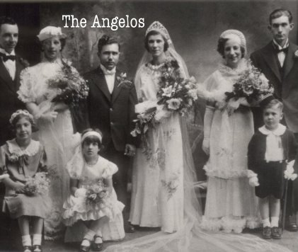 The Angelos book cover