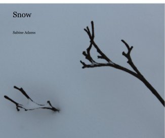 Snow book cover