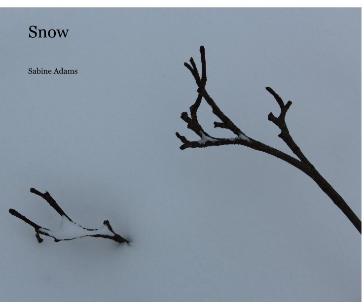 View Snow by Sabine Adams