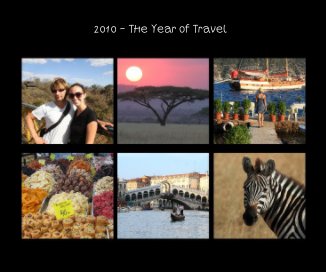 2010 - The Year of Travel book cover