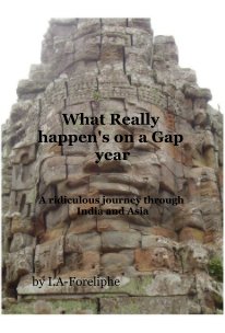 What REALLY happens on a gap year book cover