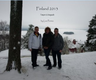 Finland 2013 book cover