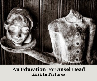 An Education for Ansel Head book cover
