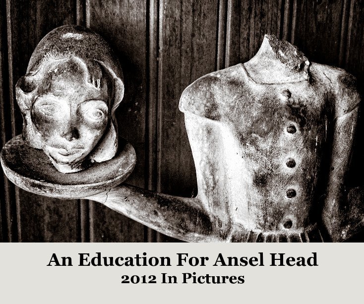 View An Education for Ansel Head by Nelson H. Head