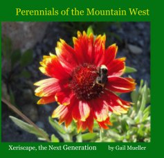 Perennials of the Mountain West book cover