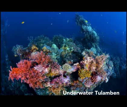 Underwater Tulamben book cover