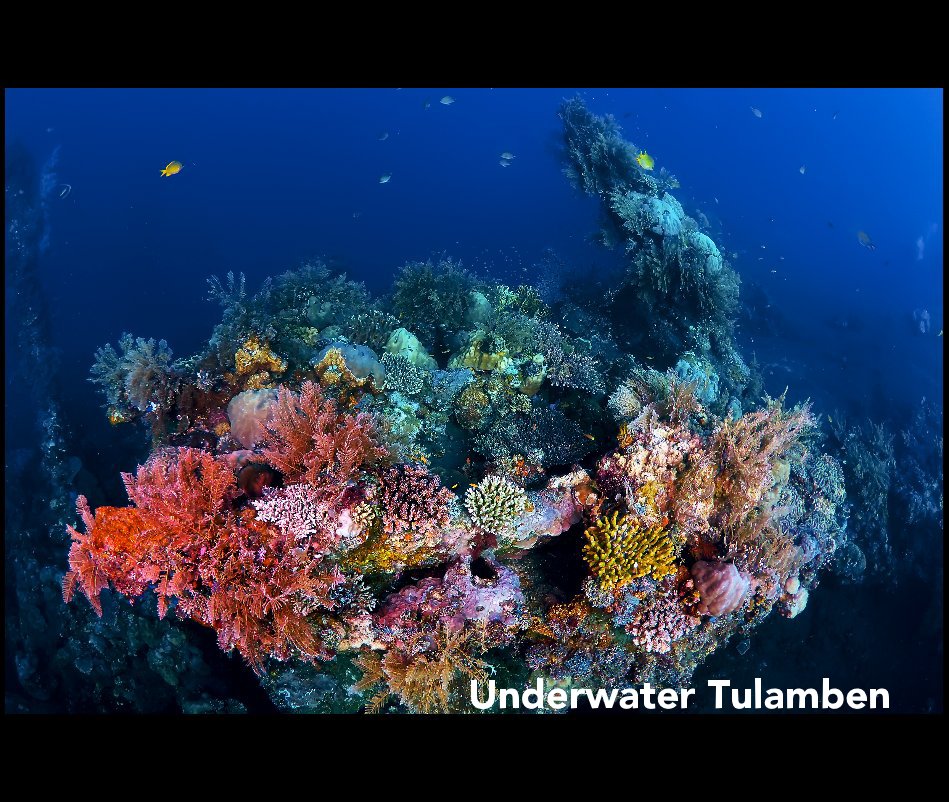 View Underwater Tulamben by di Gianni Cicalese