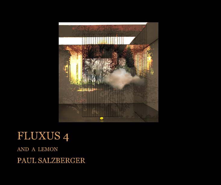 View FLUXUS 4 by PAUL SALZBERGER