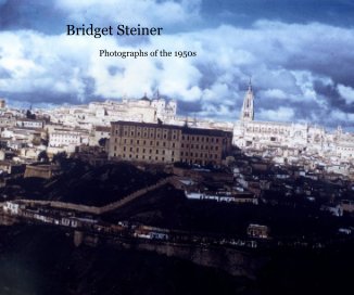 Bridget Steiner book cover