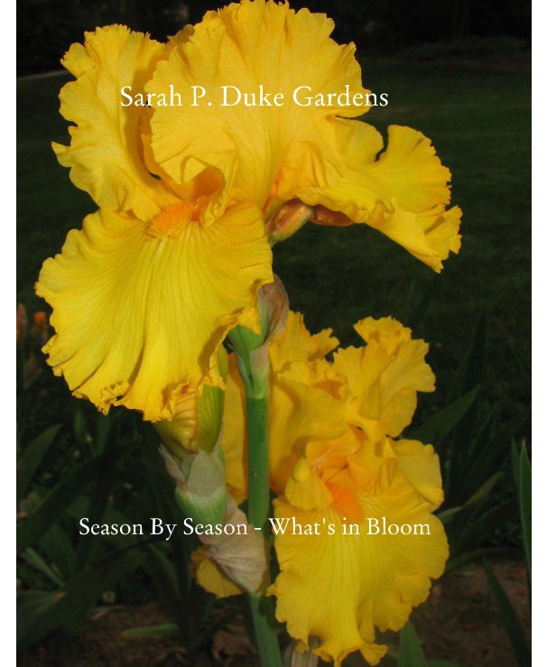View Sarah P. Duke Gardens by aleduc