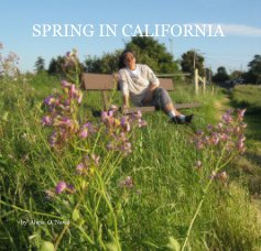 SPRING IN CALIFORNIA book cover